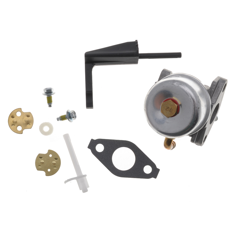 Carburateur Briggs Stratton 798653